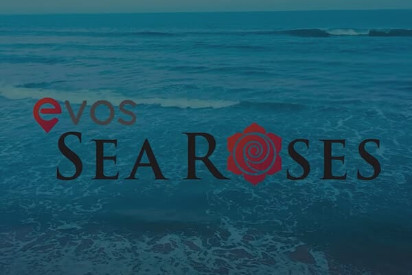 Evos Sea Roses